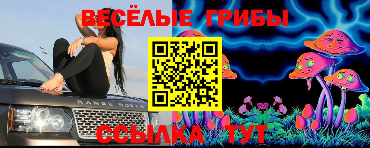 Чусовой  Галлюциногенные грибы Psilocybe  Галлюциногенные грибы Psilocybine cubensis  Вход с VPN 