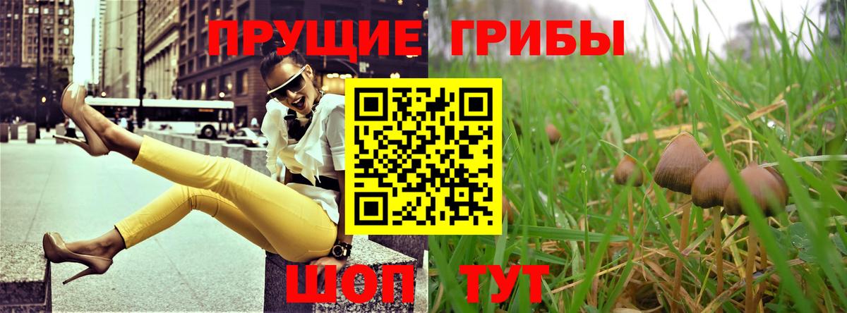 Псилоцибиновые грибы Magic Shrooms Чусовой